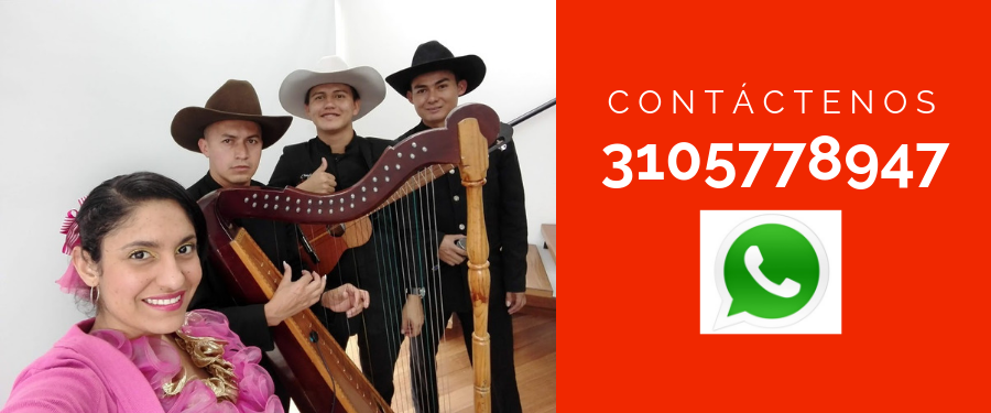 imagen de presentación grupo llanero