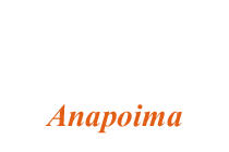 Grupo_llanero_en_anapoima