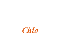 Grupo_llanero_en_chia