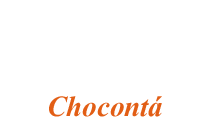 Grupo_llanero_en_choconta
