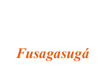Grupo_llanero_en_fusagasuga