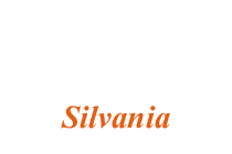 Grupo_llanero_en_silvania